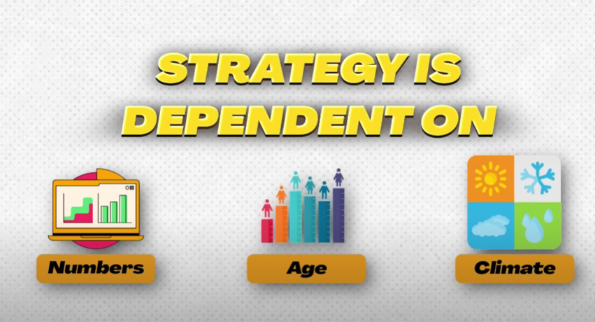 Diagram showing the 3 steps strategy is dependent on