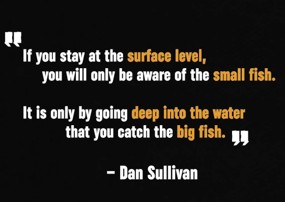 Dan Sullivan's quote about how most people remain at the surface or higher levels